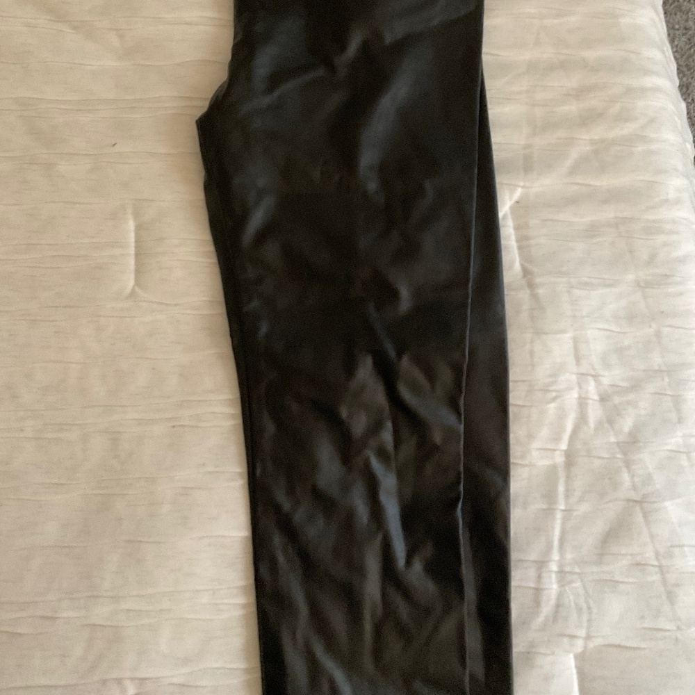 Lyssé pants (leather not vegan)